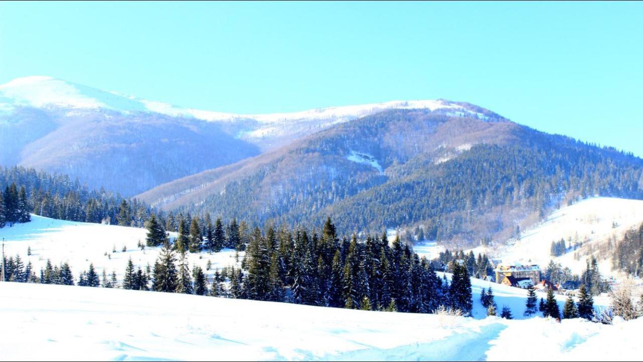 Sadyba Domashniy Zatyshok Pilipets Buitenkant foto