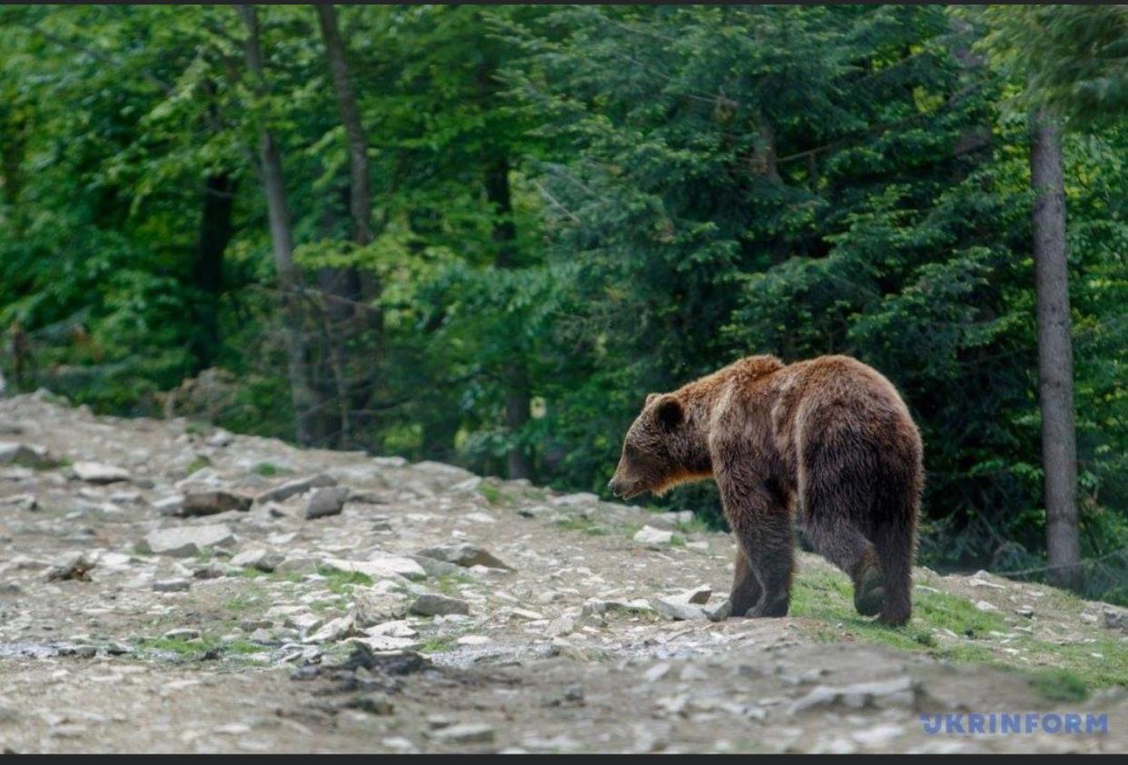 Sadyba Domashniy Zatyshok Pilipets Buitenkant foto
