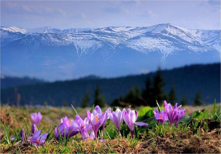 Sadyba Domashniy Zatyshok Pilipets Buitenkant foto