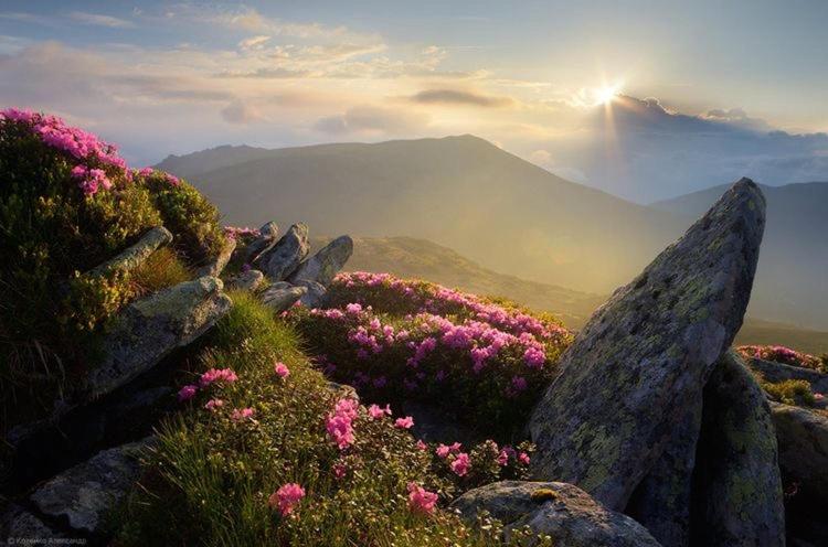 Sadyba Domashniy Zatyshok Pilipets Buitenkant foto